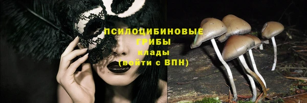 эйфоретик Баксан