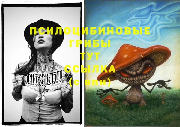 эйфоретик Баксан