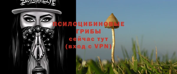 гидропоника Балабаново