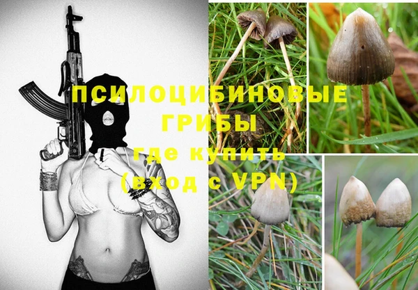 эйфоретик Баксан